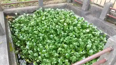 善応寺(茨城県)