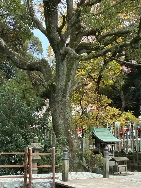 平塚八幡宮(神奈川県)