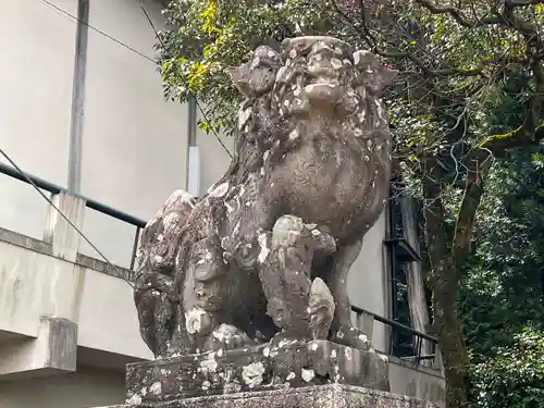 松尾神社の狛犬