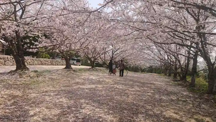 貴船神社の自然