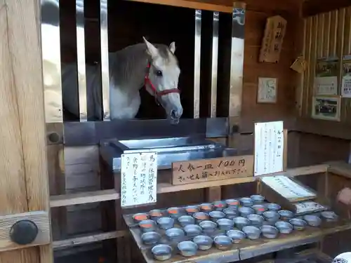 多度大社の動物
