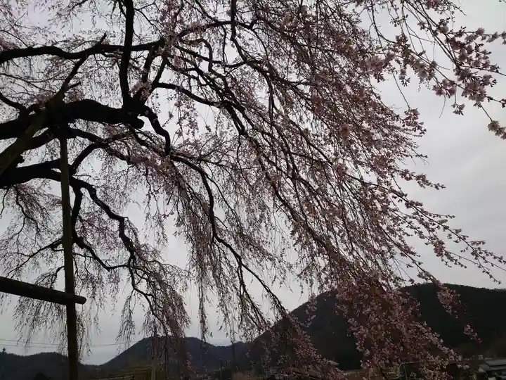 林陽寺(岐阜県)