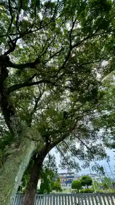彌刀神社(大阪府)