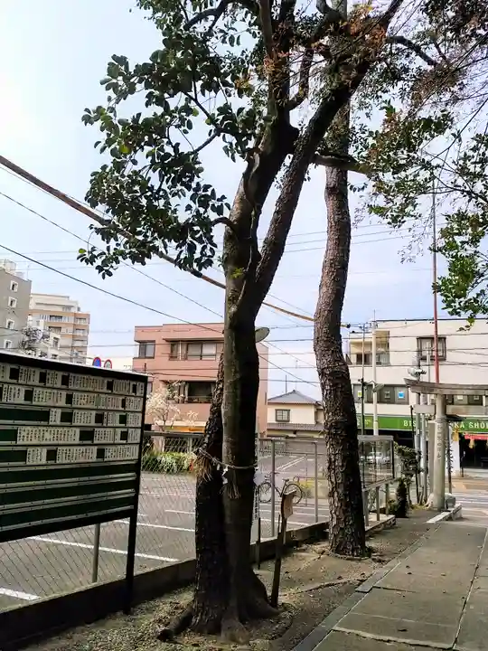 蝮ヶ池八幡宮の自然