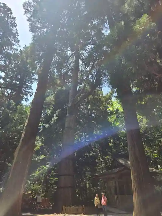 高千穂神社(宮崎県)