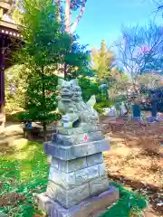 星宮神社の狛犬