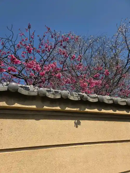 中院の{uncategorized: "未分類", other: "その他", undefined: "問題あり", building: "その他建物", grave: "お墓", sacred_gate: "鳥居", guardian: "狛犬", statue: "像", buddha: "仏像", history: "歴史", nature: "自然", garden: "庭園", animal: "動物", pagoda: "塔", temizu: "手水舎", mountain_gate: "山門・神門", sanctuary: "本殿・本堂", subordinate: "末社・摂社", art: "芸術", scenery: "景色", jizo: "地蔵", ema: "絵馬", goshuin: "御朱印", omikuji: "おみくじ", items: "授与品その他", amulet: "お守り", goshuincho: "御朱印帳", eats: "食事", festival: "お祭り", votive_dance: "神楽", shichigosan: "七五三参", wedding: "結婚式", experience: "体験その他", initially: "初詣", around: "周辺", anti_infection: "感染症対策"}