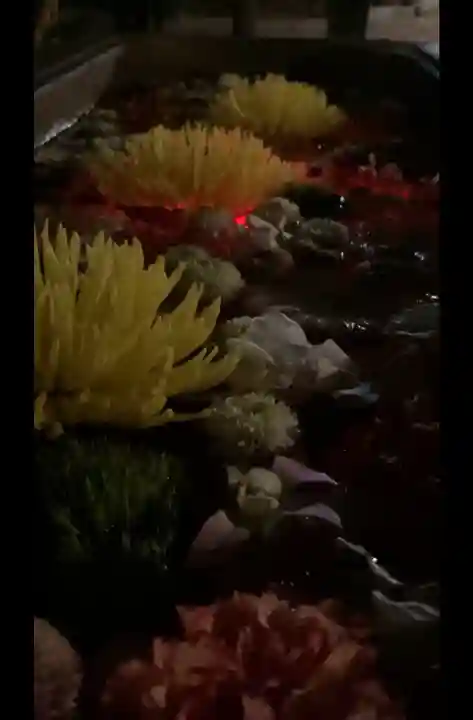 前玉神社の{uncategorized: "未分類", other: "その他", undefined: "問題あり", building: "その他建物", grave: "お墓", sacred_gate: "鳥居", guardian: "狛犬", statue: "像", buddha: "仏像", history: "歴史", nature: "自然", garden: "庭園", animal: "動物", pagoda: "塔", temizu: "手水舎", mountain_gate: "山門・神門", sanctuary: "本殿・本堂", subordinate: "末社・摂社", art: "芸術", scenery: "景色", jizo: "地蔵", ema: "絵馬", goshuin: "御朱印", omikuji: "おみくじ", items: "授与品その他", amulet: "お守り", goshuincho: "御朱印帳", eats: "食事", festival: "お祭り", votive_dance: "神楽", shichigosan: "七五三参", wedding: "結婚式", experience: "体験その他", initially: "初詣", around: "周辺", anti_infection: "感染症対策"}