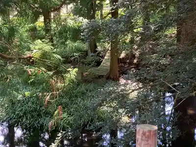 矢彦神社(長野県)