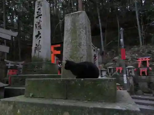 伏見稲荷大社(京都府)