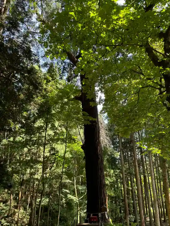 志和稲荷神社(岩手県)
