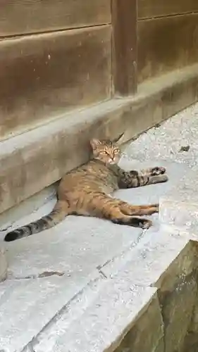 和泉國一之宮　大鳥大社の動物