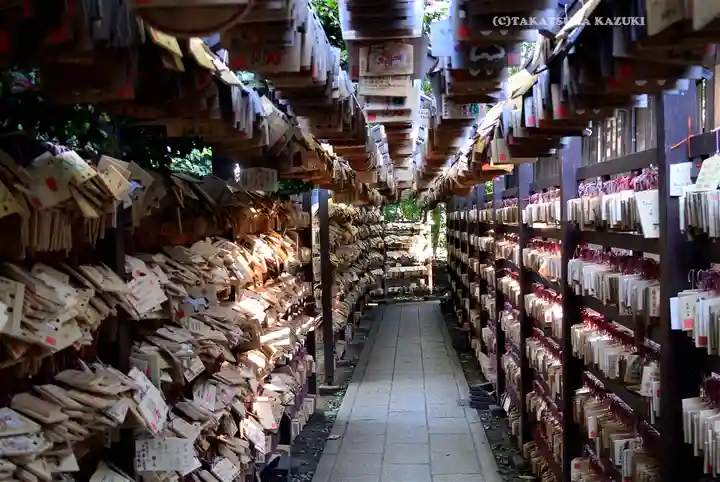 川越氷川神社(埼玉県)