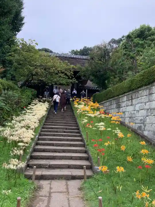 横浜 西方寺の山門・神門