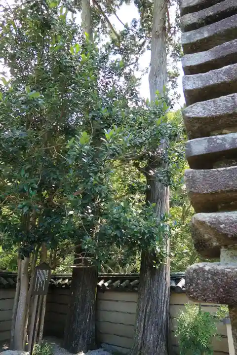 法起院(奈良県)