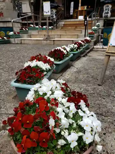 高円寺氷川神社の庭園