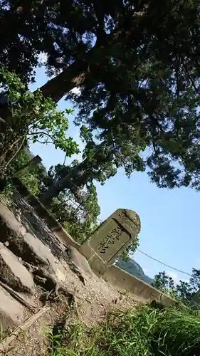 森戸大明神（森戸神社）の自然