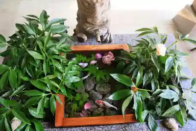 滑川神社 - 仕事と子どもの守り神の手水舎