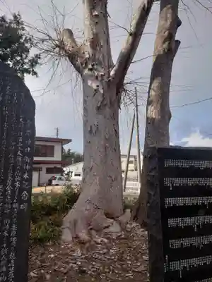 栗原神社(神奈川県)