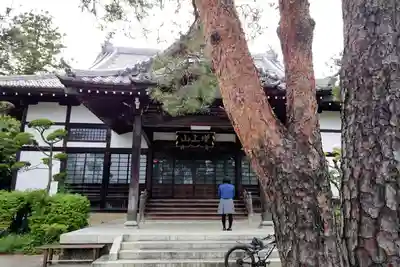 増上山 大願寺(浄土宗)仙台第七番札所の本殿・本堂