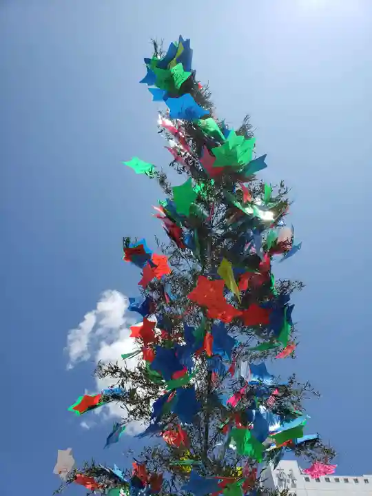 阿佐ヶ谷神明宮(東京都)