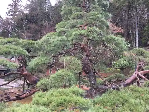 常楽寺の庭園