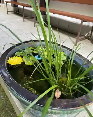 鞍馬寺(京都府)