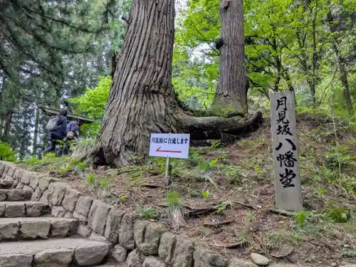 中尊寺(岩手県)