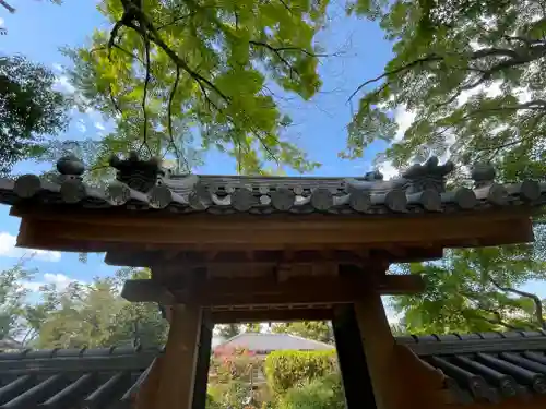 大門寺の山門