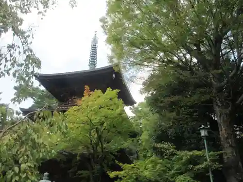 豪徳寺のその他建物