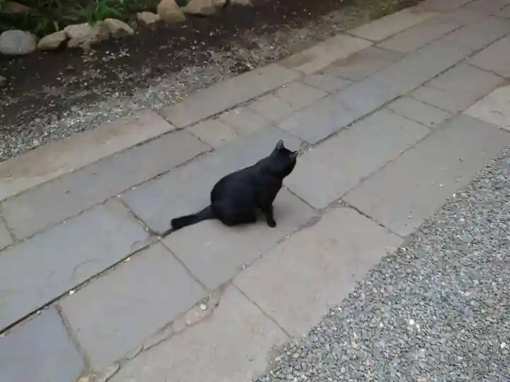 小野照崎神社の動物