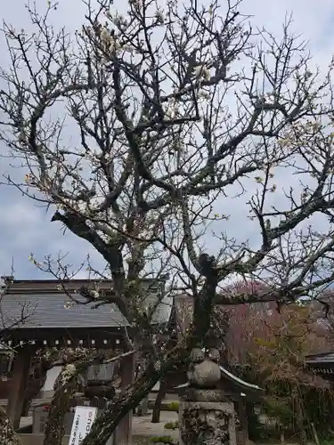 綱敷天満宮(福岡県)