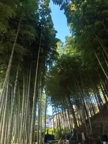 香林寺(神奈川県)