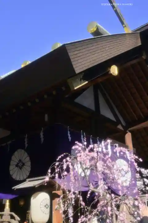 東京大神宮(東京都)