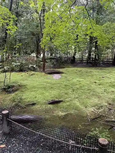 野宮神社(京都府)