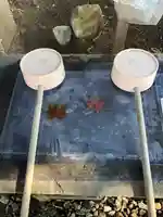 伏木香取神社の手水舎