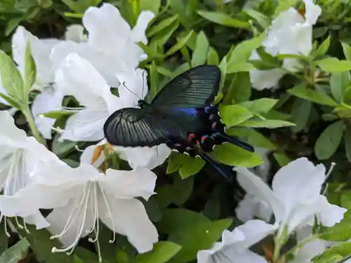 志波彦神社・鹽竈神社(宮城県)
