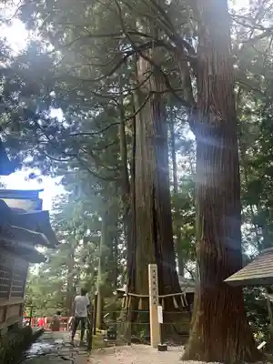 鷲子山上神社(栃木県)