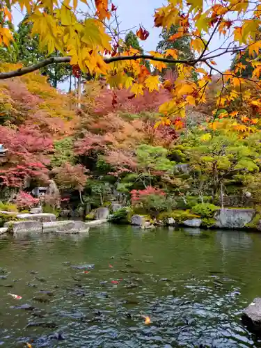 百済寺の庭園