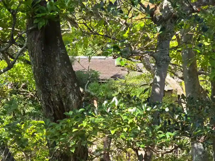 仁和寺(京都府)