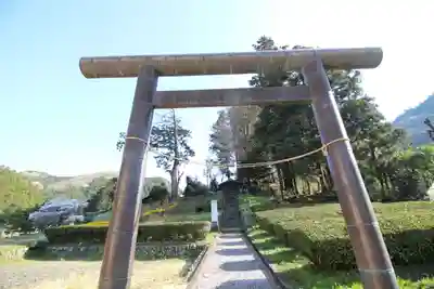 天神社(埼玉県)
