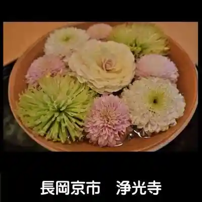 浄光寺(京都府)