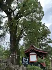 鹿児島神宮(鹿児島県)