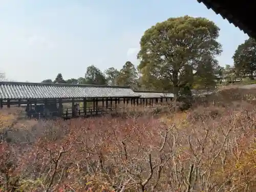 東福禅寺（東福寺）の{uncategorized: "未分類", other: "その他", undefined: "問題あり", building: "その他建物", grave: "お墓", sacred_gate: "鳥居", guardian: "狛犬", statue: "像", buddha: "仏像", history: "歴史", nature: "自然", garden: "庭園", animal: "動物", pagoda: "塔", temizu: "手水舎", mountain_gate: "山門・神門", sanctuary: "本殿・本堂", subordinate: "末社・摂社", art: "芸術", scenery: "景色", jizo: "地蔵", ema: "絵馬", goshuin: "御朱印", omikuji: "おみくじ", items: "授与品その他", amulet: "お守り", goshuincho: "御朱印帳", eats: "食事", festival: "お祭り", votive_dance: "神楽", shichigosan: "七五三参", wedding: "結婚式", experience: "体験その他", initially: "初詣", around: "周辺", anti_infection: "感染症対策"}