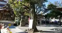 大鳥神社の自然