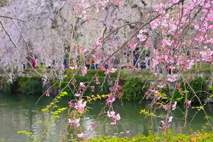 三嶋大社(静岡県)