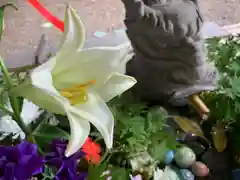 滑川神社 - 仕事と子どもの守り神の手水