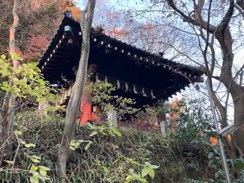 妙本寺(神奈川県)