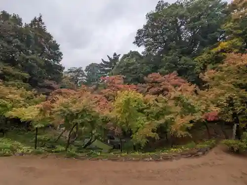 喜多院(埼玉県)