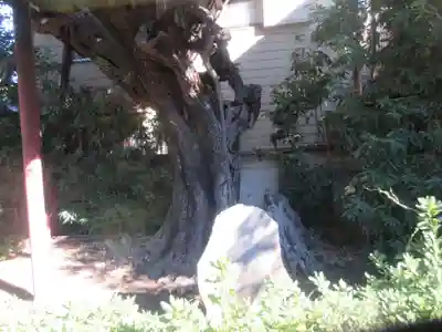 延命院(東京都)